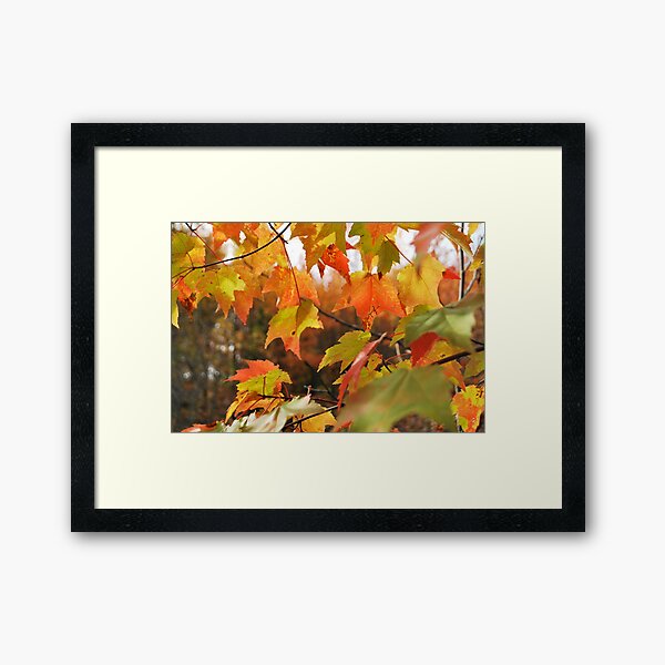 and so an hour Framed Art Print