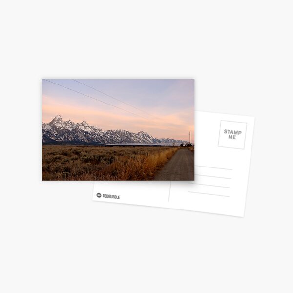 Tetons and moose Postcard