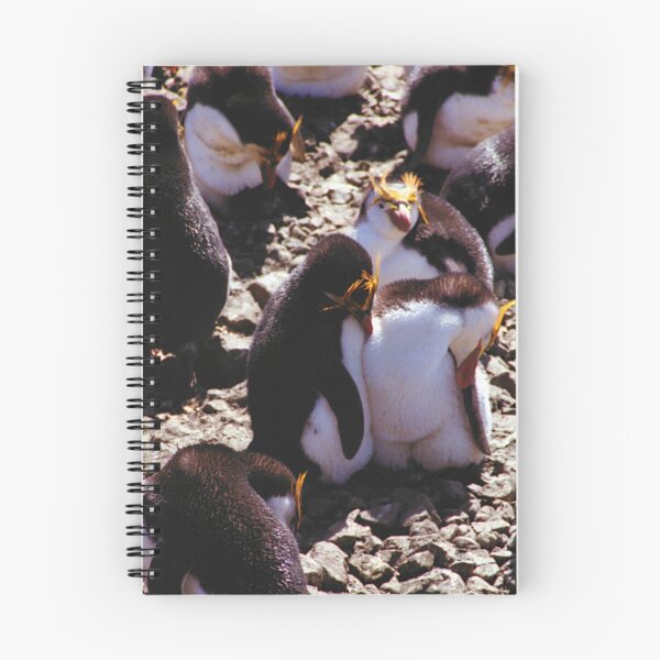 Item preview, Royal Penguins Nesting in the Rookery designed and sold by Carole-Anne.