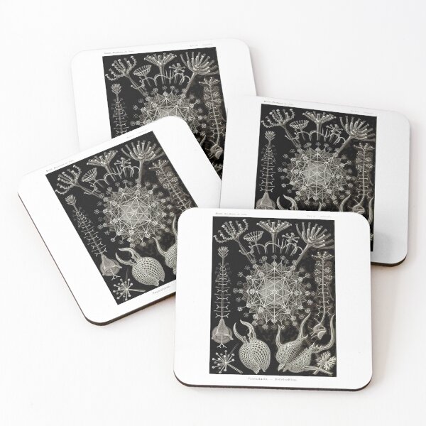 Item preview, Plate 61. Radiolarians, amoeboid protozoans. designed and sold by Squirrox.