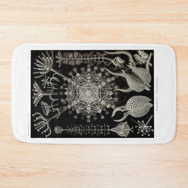 Item preview, Plate 61. Radiolarians, amoeboid protozoans. designed and sold by Squirrox.