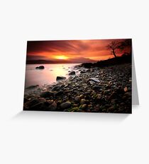 Sun kissed rocks Greeting Card