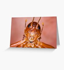 The Parktown Prawn Greeting Card