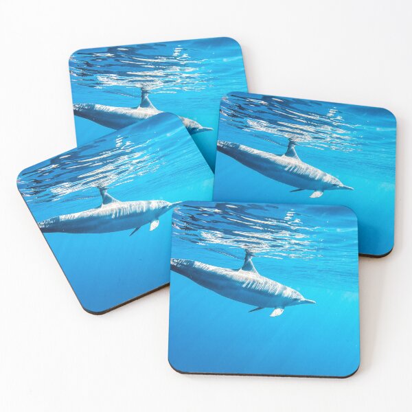 Item preview, Dolphin designed and sold by Kana Photography.