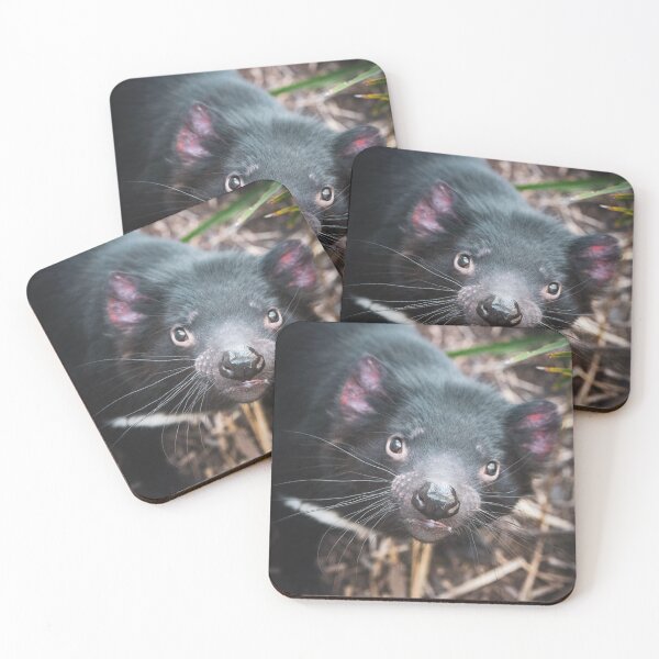 Item preview, Tasmanian Devil  designed and sold by Cosmic  Fox Photography.