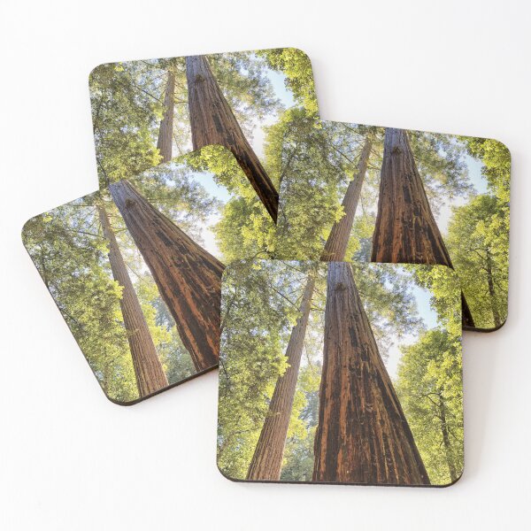 Item preview, The Redwoods designed and sold by Yair Karelic.