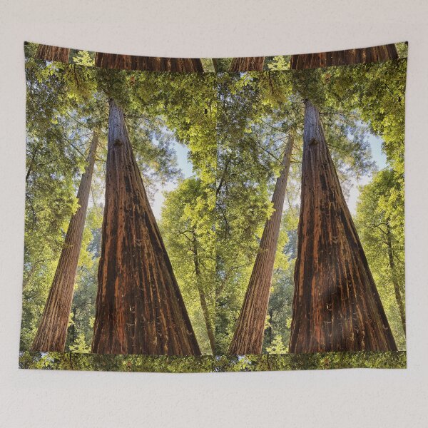 Item preview, The Redwoods designed and sold by Yair Karelic.