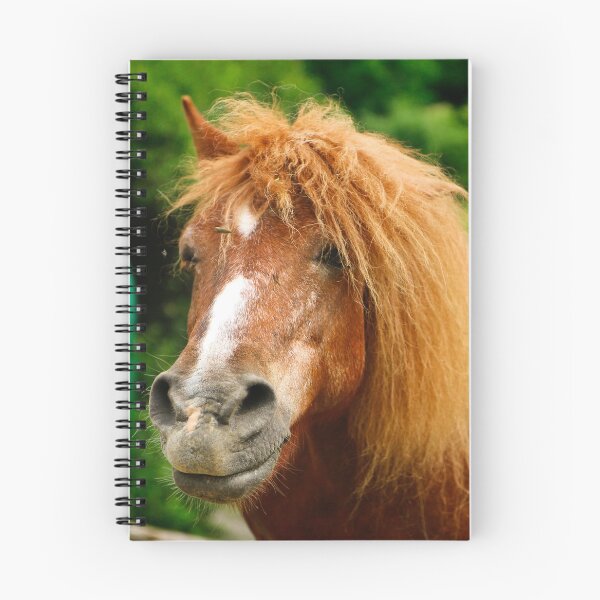 Item preview, Pony - John designed and sold by laura-S.