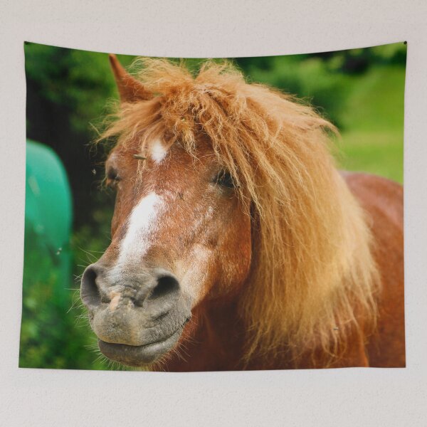 Item preview, Pony - John designed and sold by laura-S.