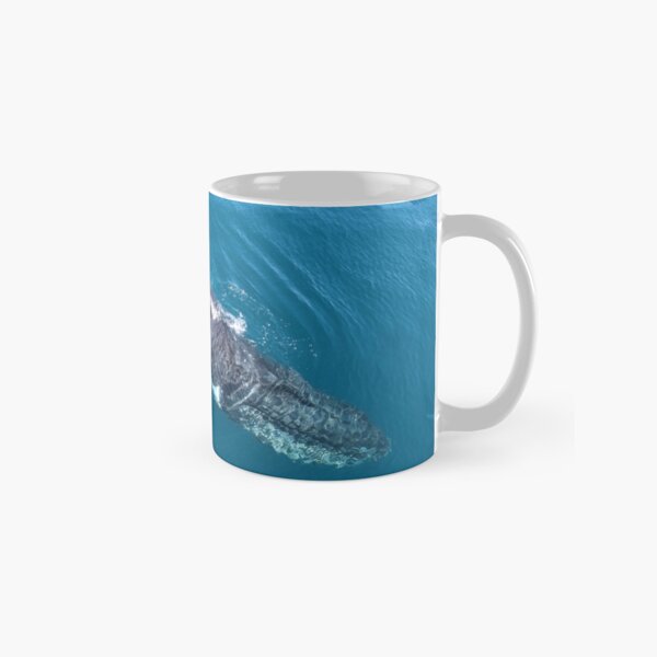 humpback whale at Hervey Bay, Queensland Classic Mug