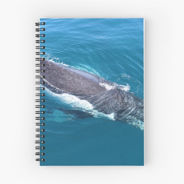 Item preview, humpback whale at Hervey Bay, Queensland designed and sold by Gaylene Norton.