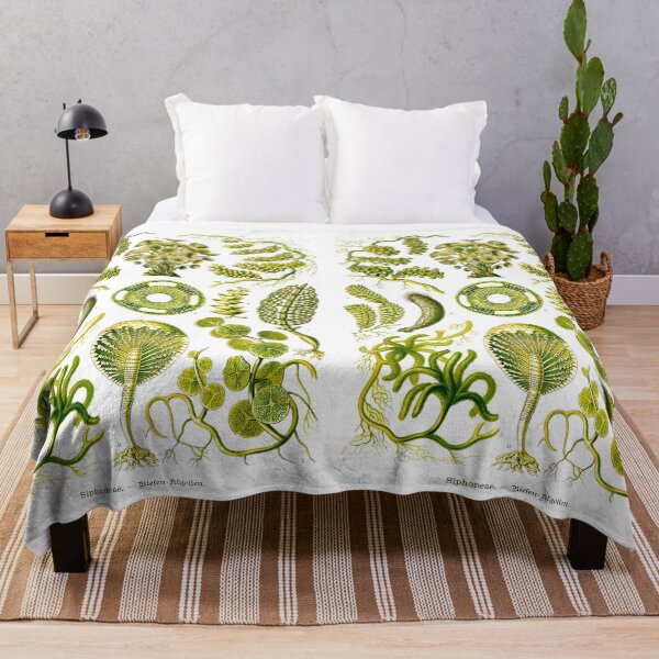 Item preview, Plate 64. Mainly marine green algae. designed and sold by Squirrox.