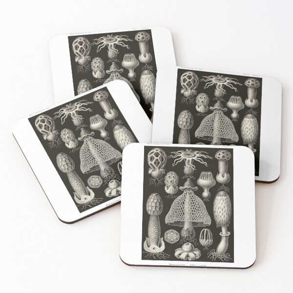 Item preview, Plate 63. Basimycetes, a grouping of fungi. designed and sold by Squirrox.