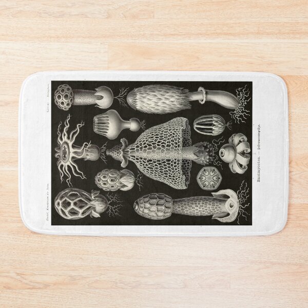 Item preview, Plate 63. Basimycetes, a grouping of fungi. designed and sold by Squirrox.