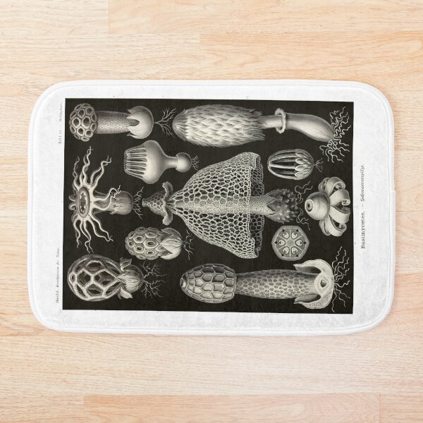 Aperçu de l'œuvre Planche 63. Basimycetes, un regroupement de champignons. créée et vendue par Squirrox.