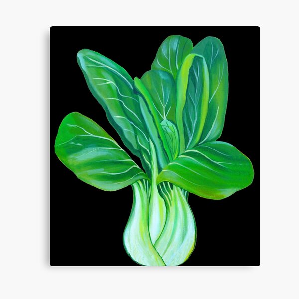 Bok Choy Canvas Print