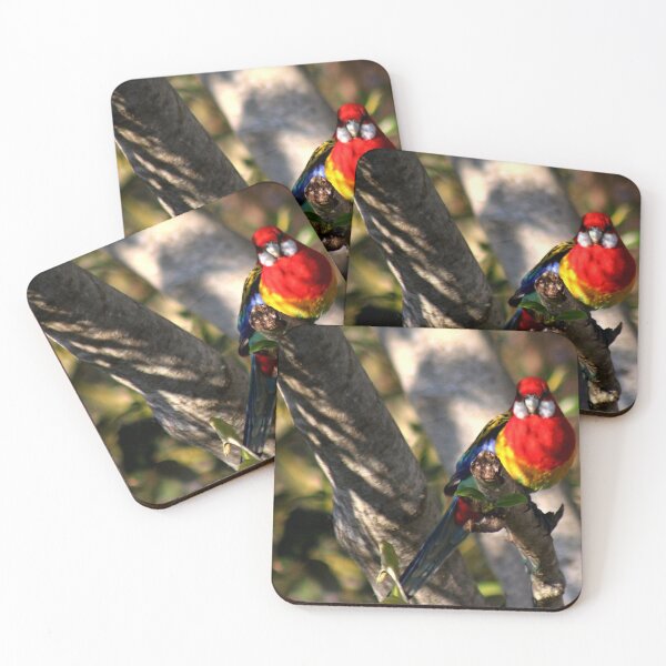Item preview, Golden Mantled Rosella designed and sold by myraj.