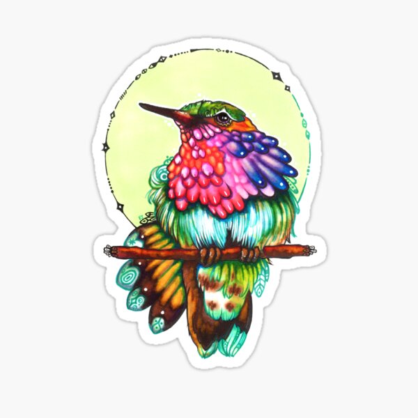 Federzucker - colorful hummingbird Sticker