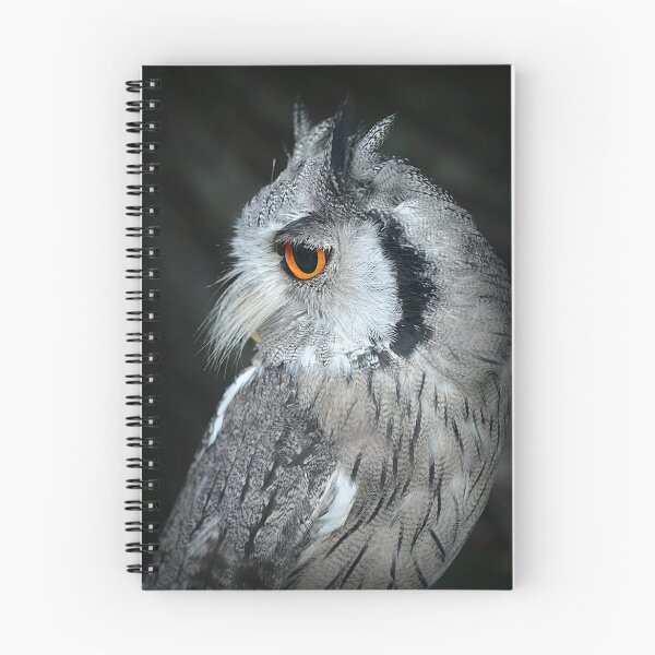 Item preview, Small grey owl designed and sold by Alexandra Lavizzari.