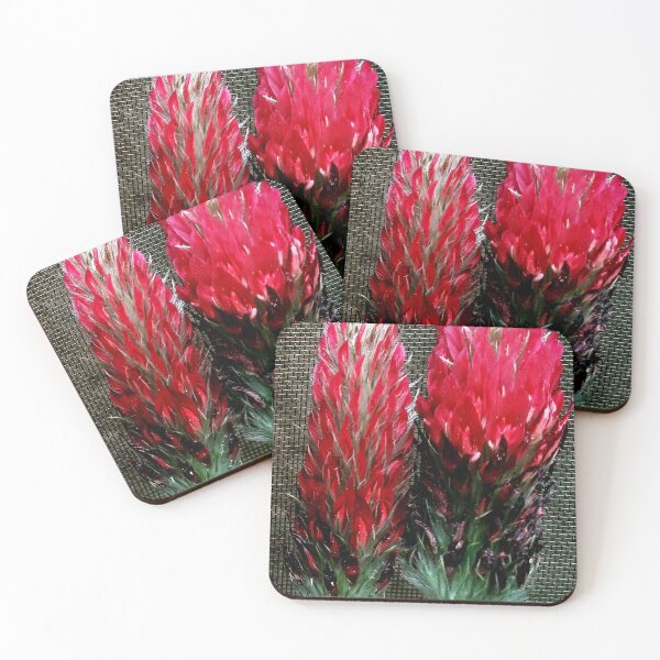 Item preview, tow field flowers designed and sold by TessAndre.