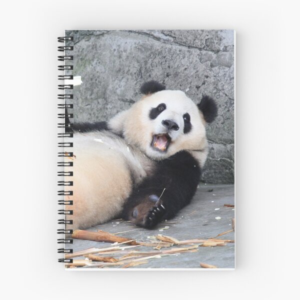 Item preview, Do I look cute enough? designed and sold by Peta Smith.