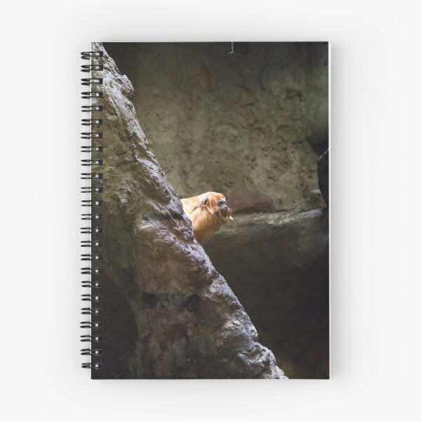 Item preview, A Tamarins Monkey behind a wall designed and sold by Allen Penton.