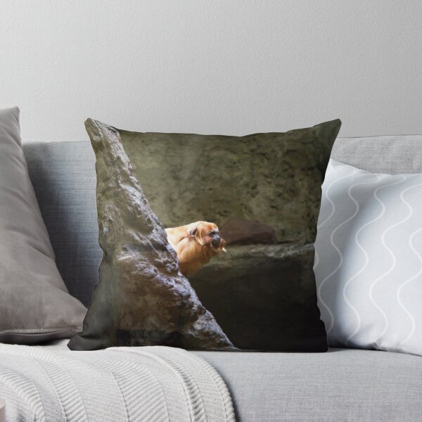 Item preview, A Tamarins Monkey behind a wall designed and sold by Allen Penton.