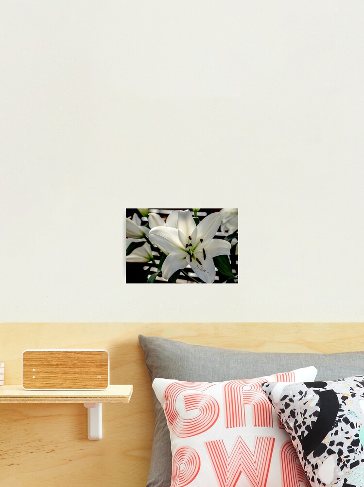 Lámina fotográfica «flor del lirio» de yurix | Redbubble