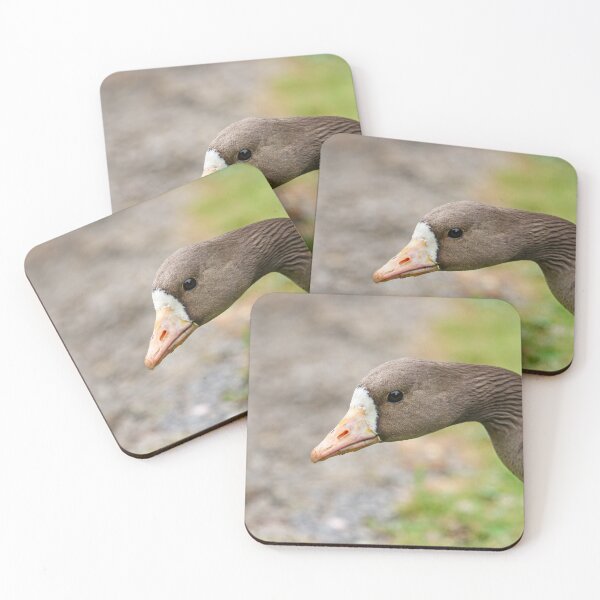 Item preview, White fronted goose designed and sold by GreyFeatherPhot.