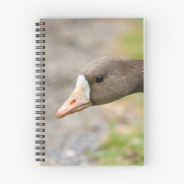 Item preview, White fronted goose designed and sold by GreyFeatherPhot.