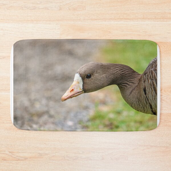 Item preview, White fronted goose designed and sold by GreyFeatherPhot.