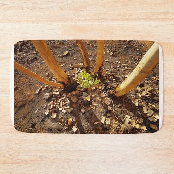 Item preview, New life after fire designed and sold by Kevin McGennan.