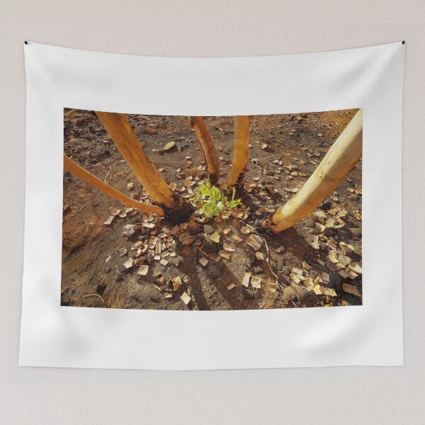 Item preview, New life after fire designed and sold by Kevin McGennan.