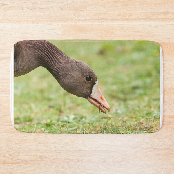 Item preview, Grazing goose designed and sold by GreyFeatherPhot.