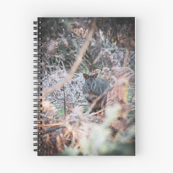 Item preview, Tasmanian Pademelon  designed and sold by Cosmic  Fox Photography.