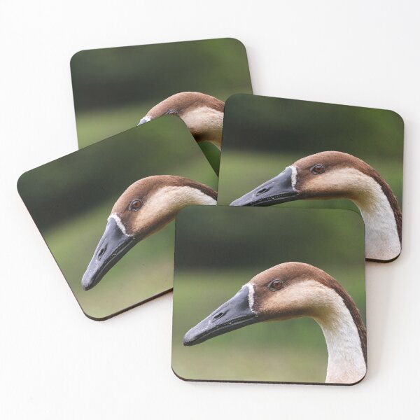Item preview, Swan goose designed and sold by GreyFeatherPhot.