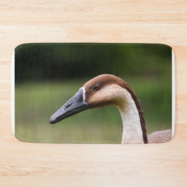 Item preview, Swan goose designed and sold by GreyFeatherPhot.