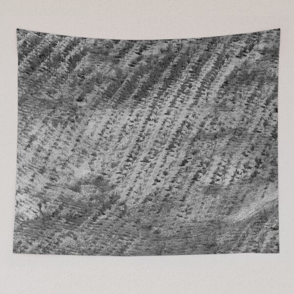 Item preview, 2008 Terra di Molise designed and sold by robertoferrero.