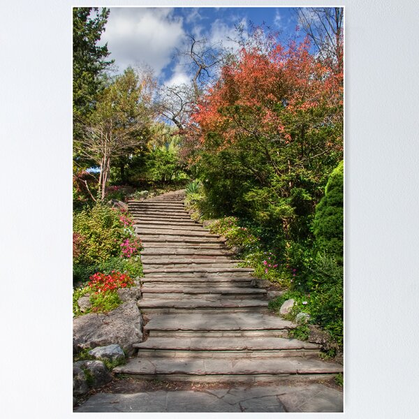 Item preview, A Garden with Stairs designed and sold by Marilyn Cornwell.