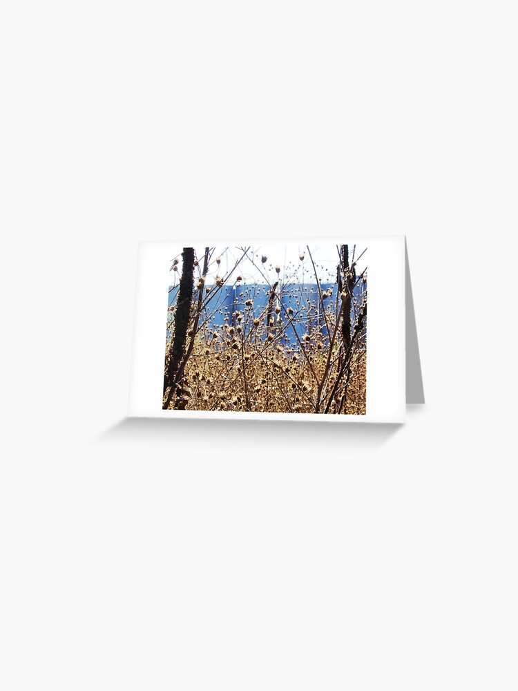 Railroad Right Of Way 3m Plant Cottage Grove Mn Greeting Card