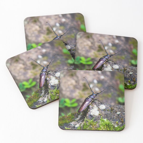 Item preview, Costa Rica Beetle designed and sold by darren-j-mcleod.