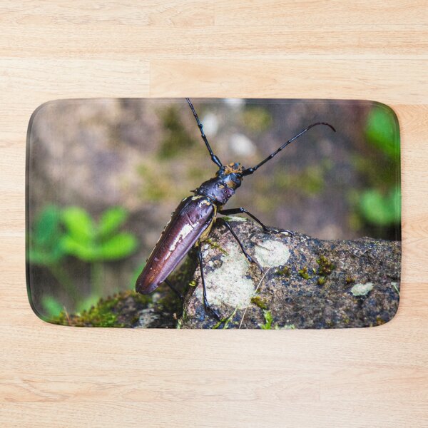 Item preview, Costa Rica Beetle designed and sold by darren-j-mcleod.