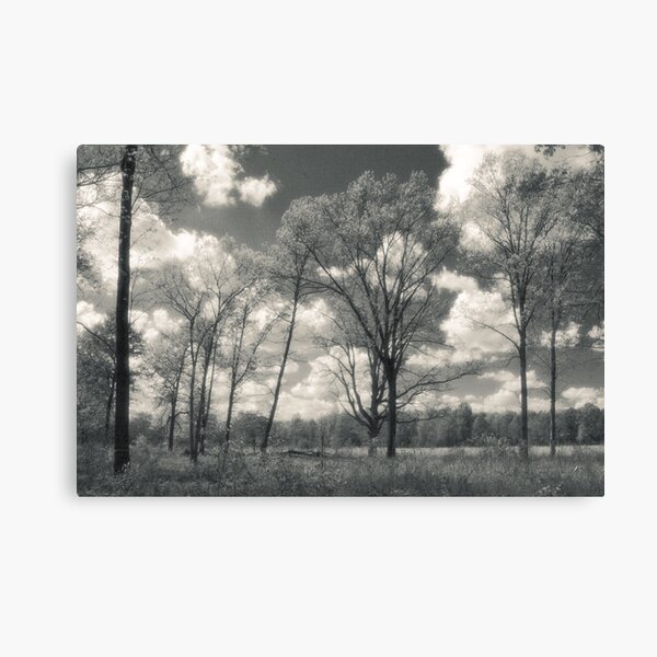Prairie In May Canvas Print