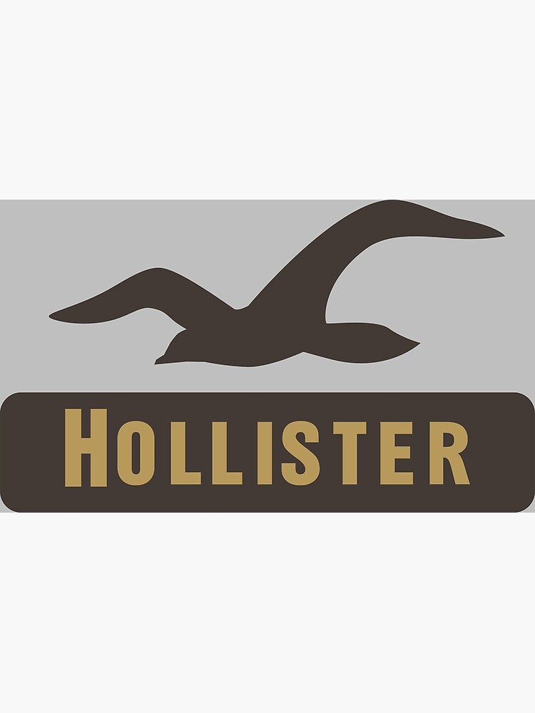 hollister lion hoodie