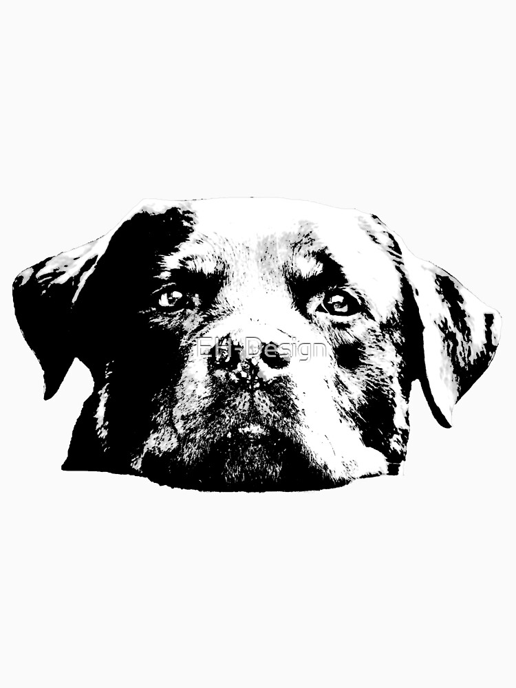 Rottweiler von EH-Design
