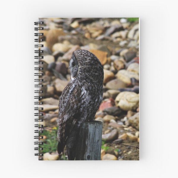 Item preview, Great Grey Owl designed and sold by Alyce Taylor.