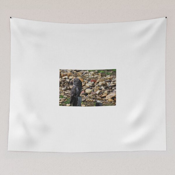 Item preview, Great Grey Owl designed and sold by Alyce Taylor.
