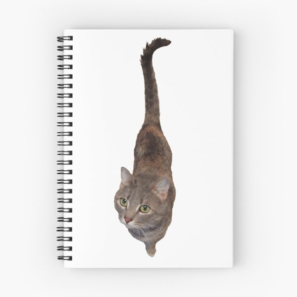 Item preview, Jelly Bean - Female Cat designed and sold by A2Gretchen.
