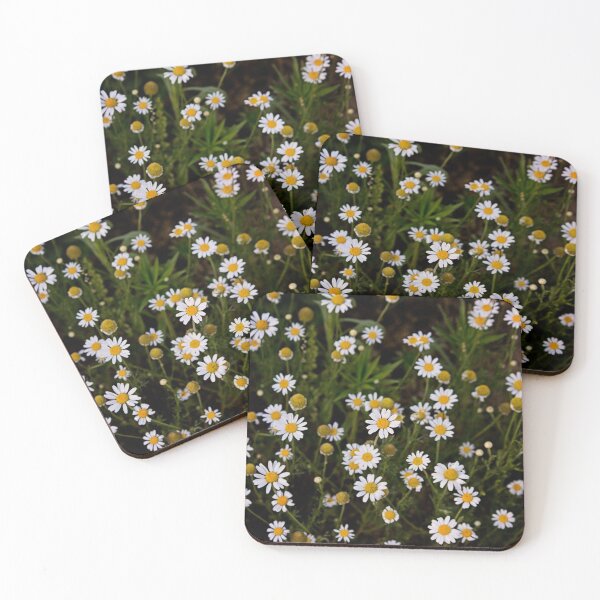Item preview, Overlooking field of daisies designed and sold by bwatkinsphoto.