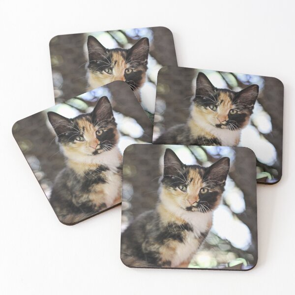Item preview, Calico Kitten designed and sold by bwatkinsphoto.